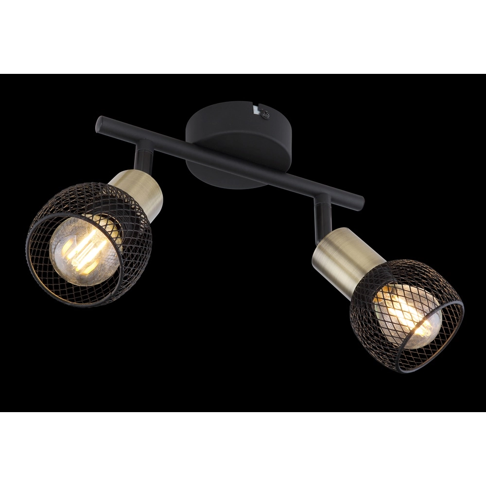 Plafondlamp Fiastra 2-lichts zwart met gaas Globo 9007371415120