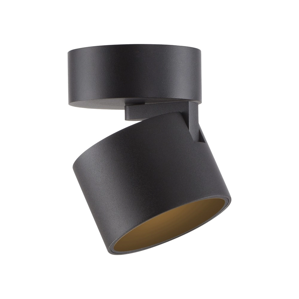 Strakke opbouwspot Pure Cup black pearl Paul Neuhaus 4012248395585