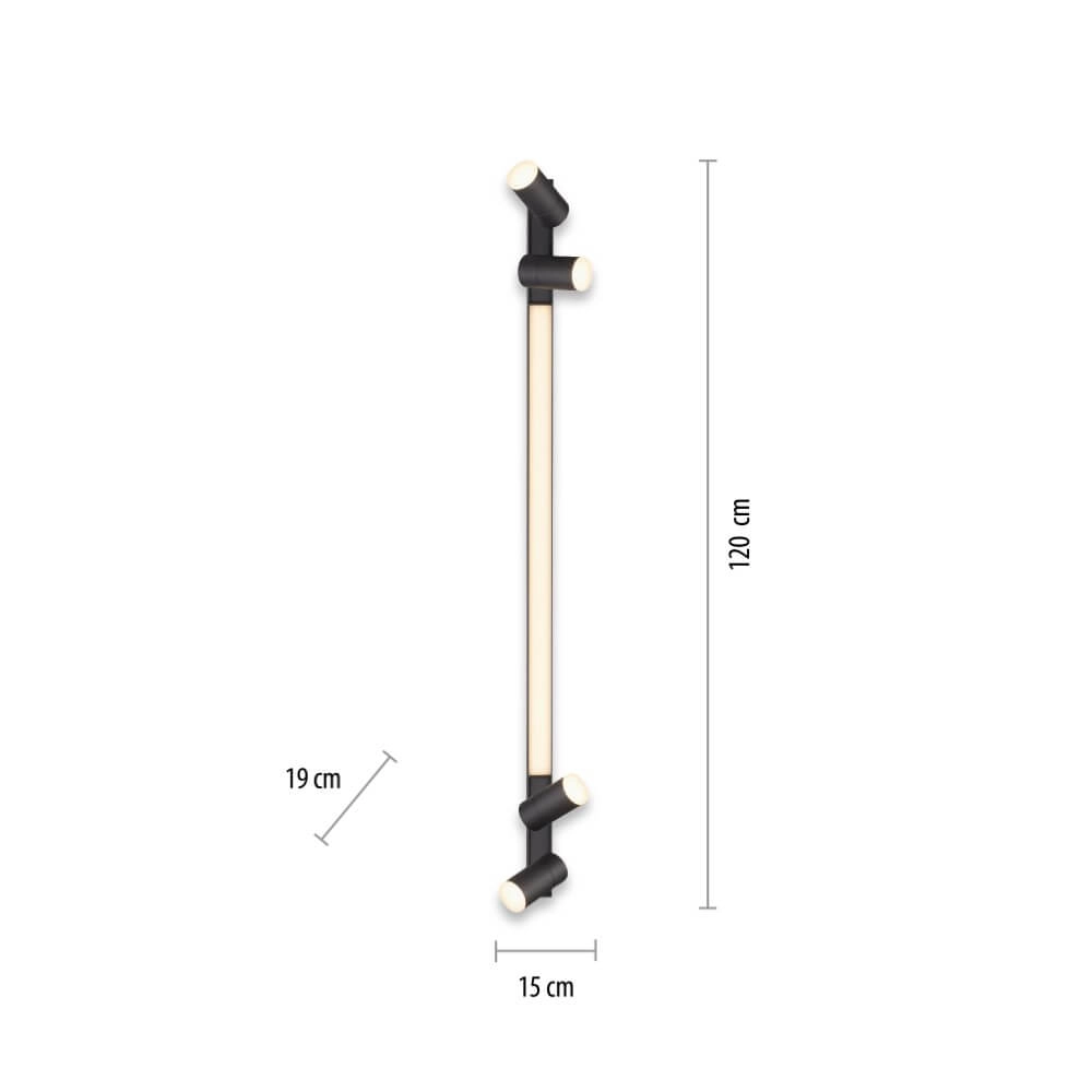 Strakke plafondlamp Pure Lines Spot antraciet Paul Neuhaus 4012248366349