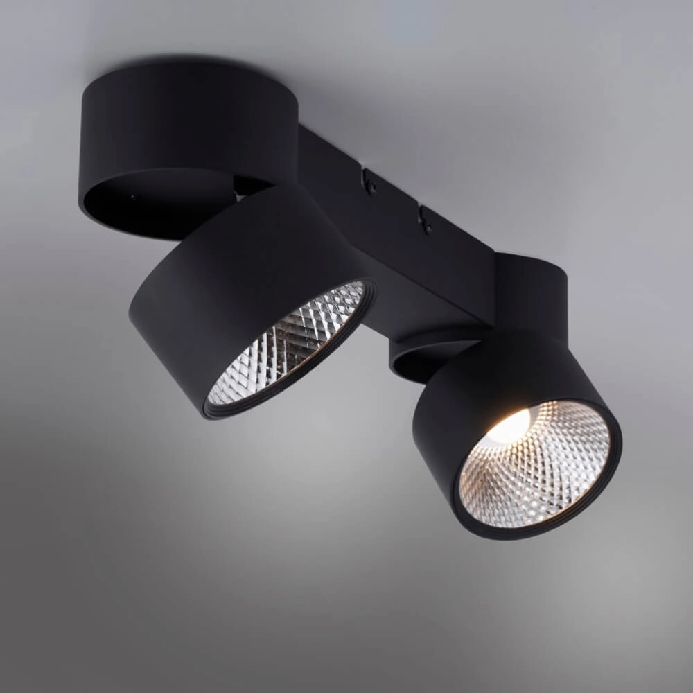 Plafondlamp Pure Nola 2-lichts zwart Paul Neuhaus 4012248372005