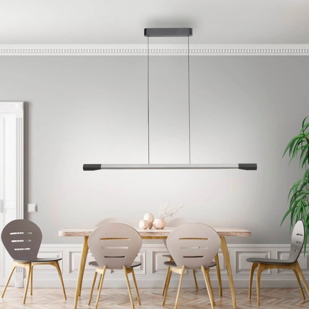 Design hanglamp Hoop antraciet Paul Neuhaus 4012248385951