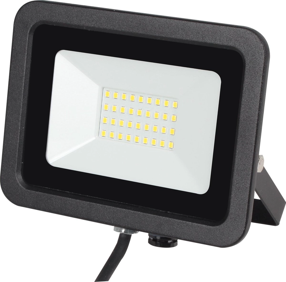 Schijnwerper Assist 30W