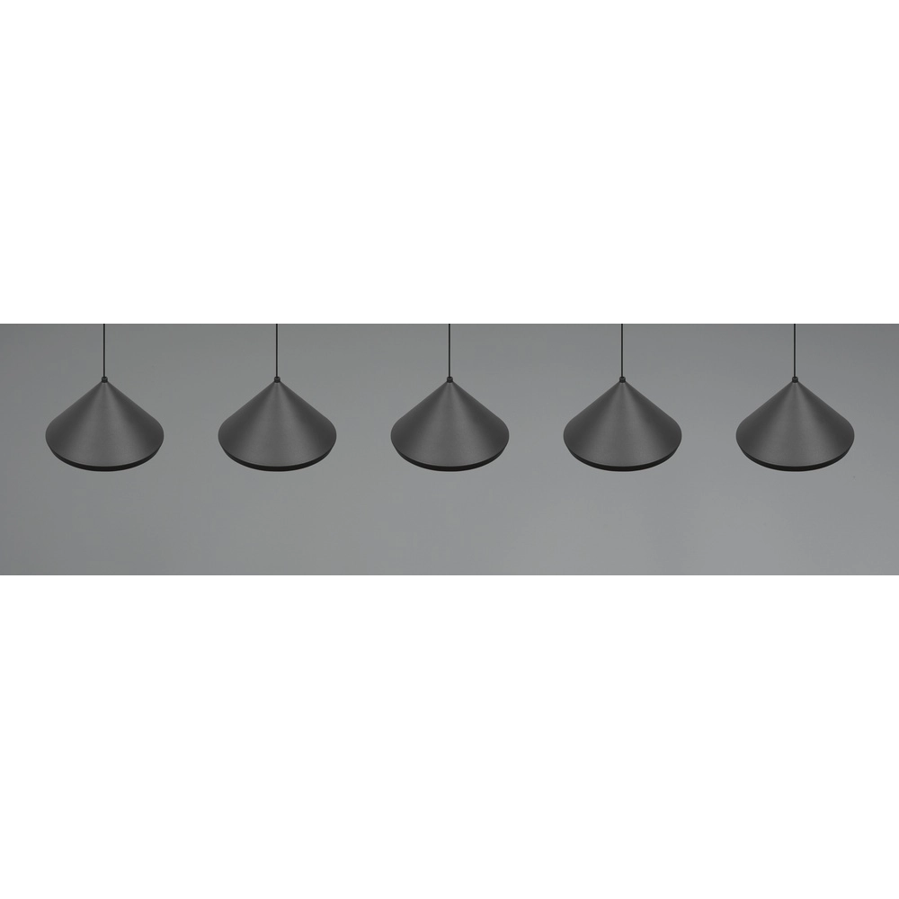 5-lichts hanglamp Laguna zwart Trio 4017807667684