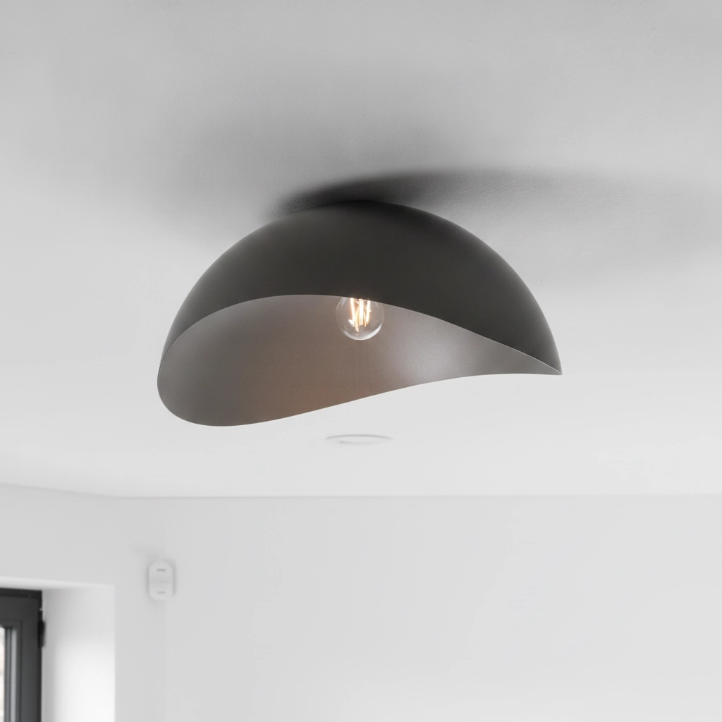 Plafondlamp Opsi zwart Ø 50cm