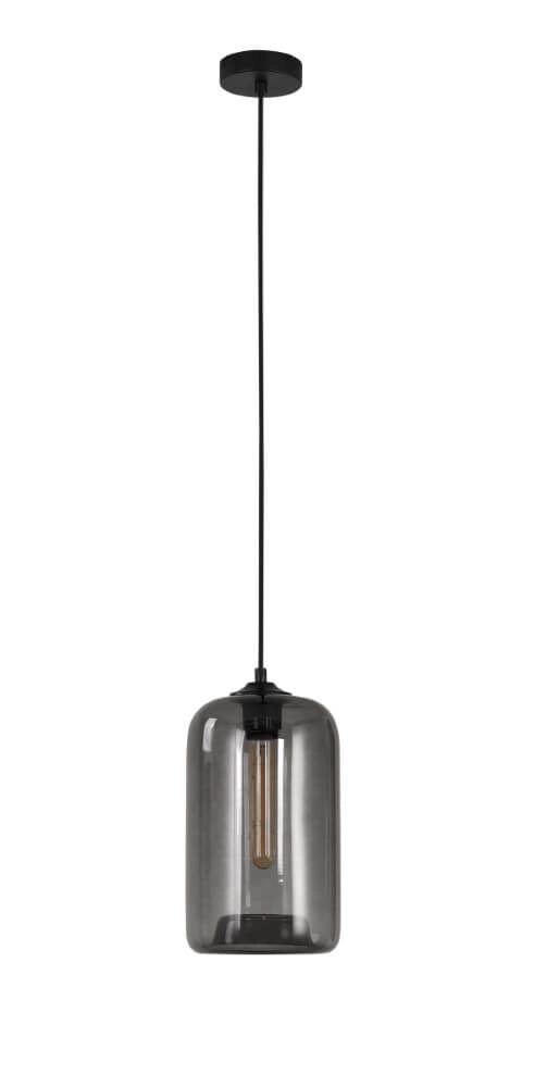 1-lichts hanglamp Botany smoke glas Artdelight 8719831737765