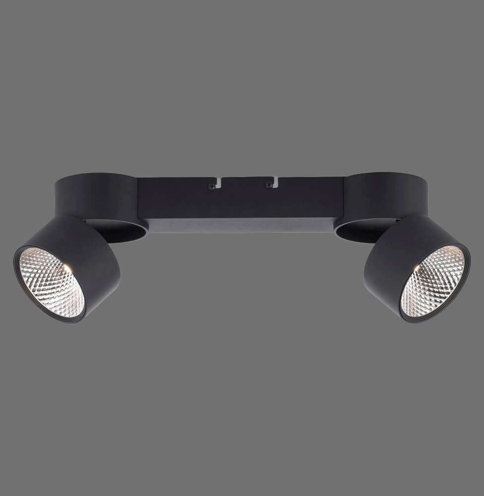 Plafondlamp Pure Nola 2-lichts zwart Paul Neuhaus 4012248372005