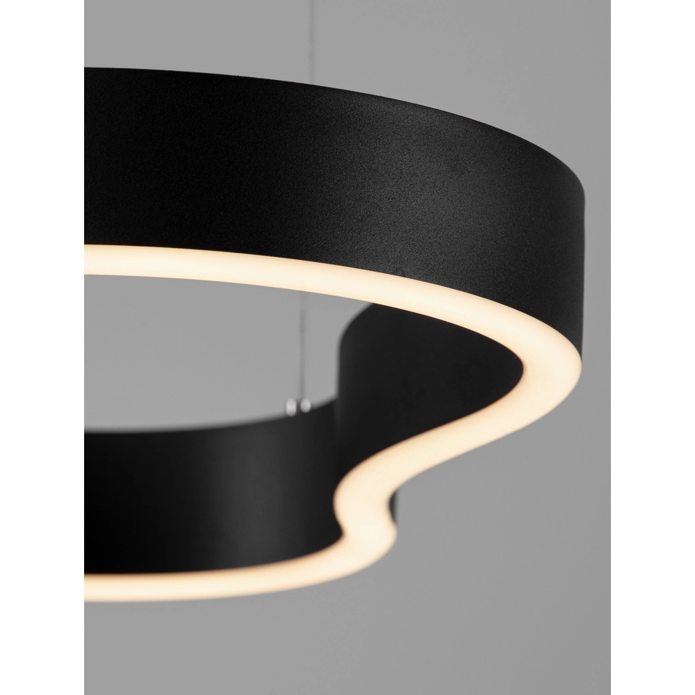 Natuurlijke vorm hanglamp Dussa zwart 90cm Lyora 5212017463050