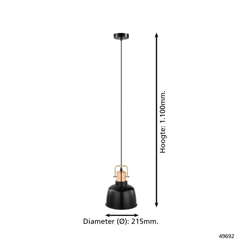 Hanglamp Bodmin 21,5cm Eglo 9002759496920