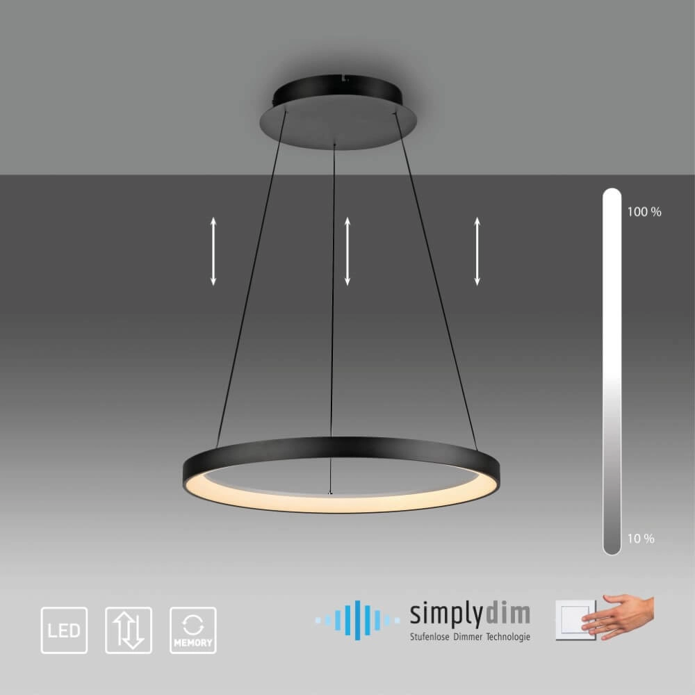 Ronde hanglamp Hoop zwart Paul Neuhaus 4012248384695