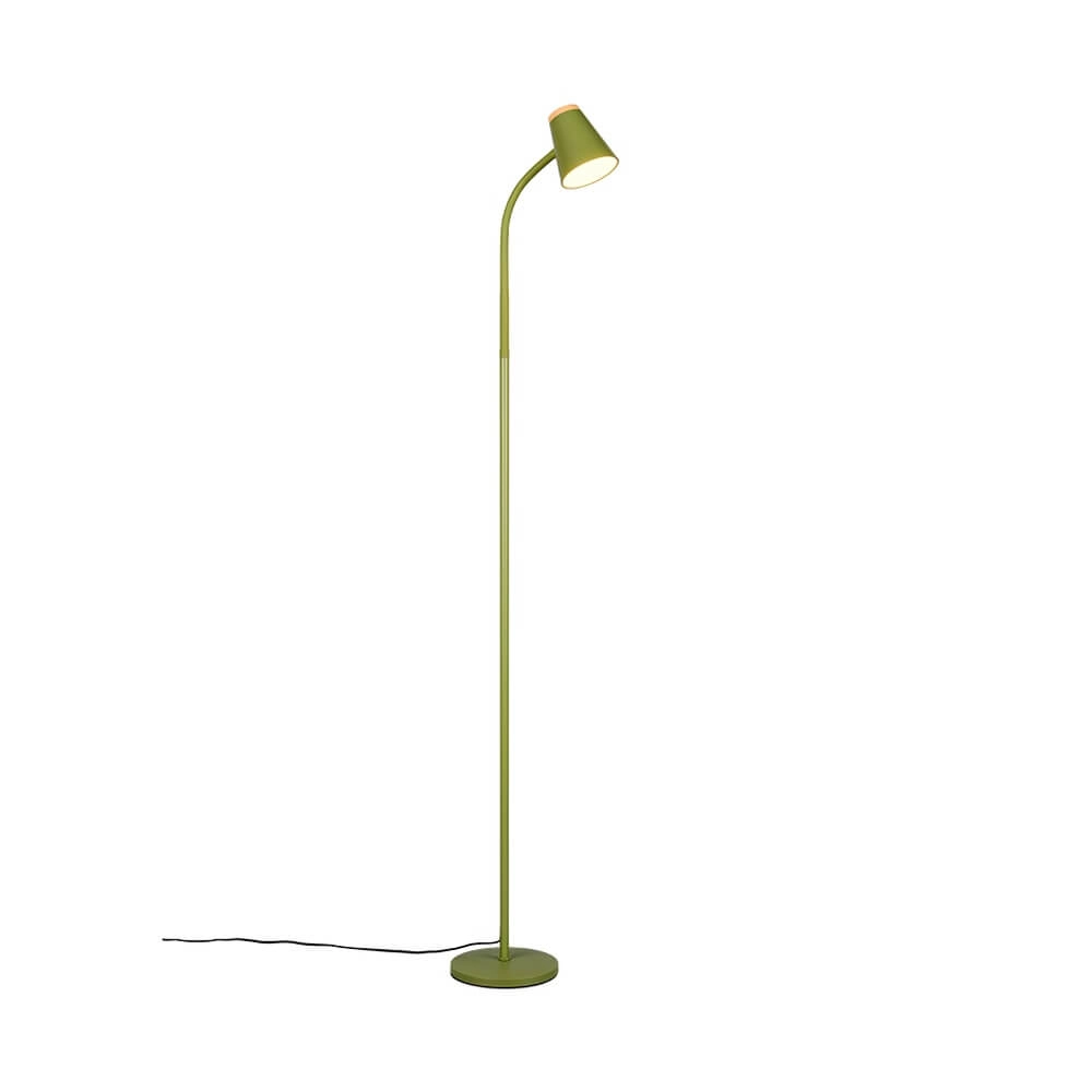 Vloerlamp Pongo groen
