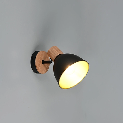 Plafondlamp Delume enkel zwart Trio 4017807672237