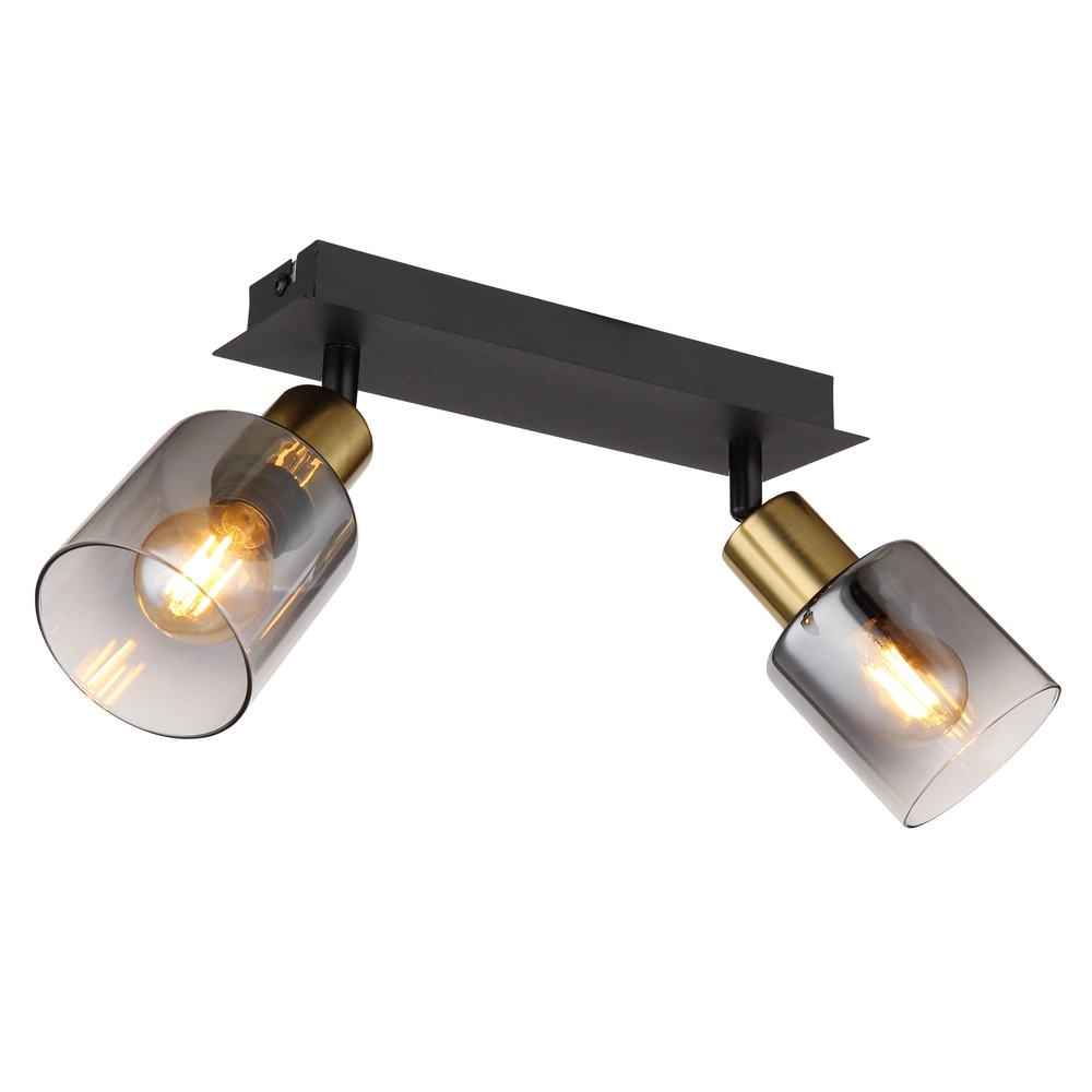 2-lichts plafondlamp Hollsy zwart met smoke glas