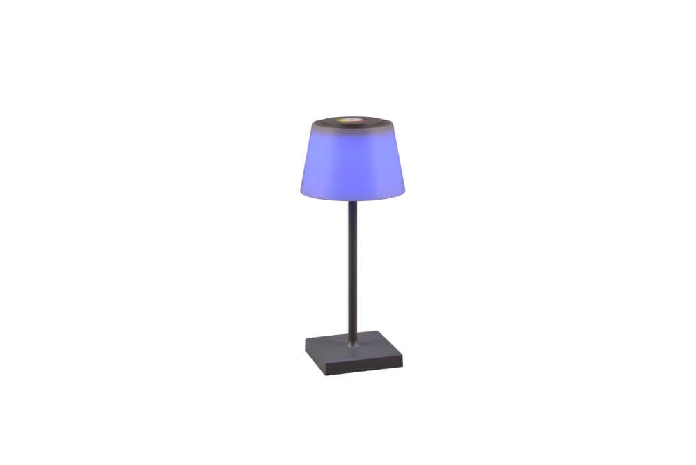 Oplaadbare tafellamp Sanchez antraciet Trio 4017807570595