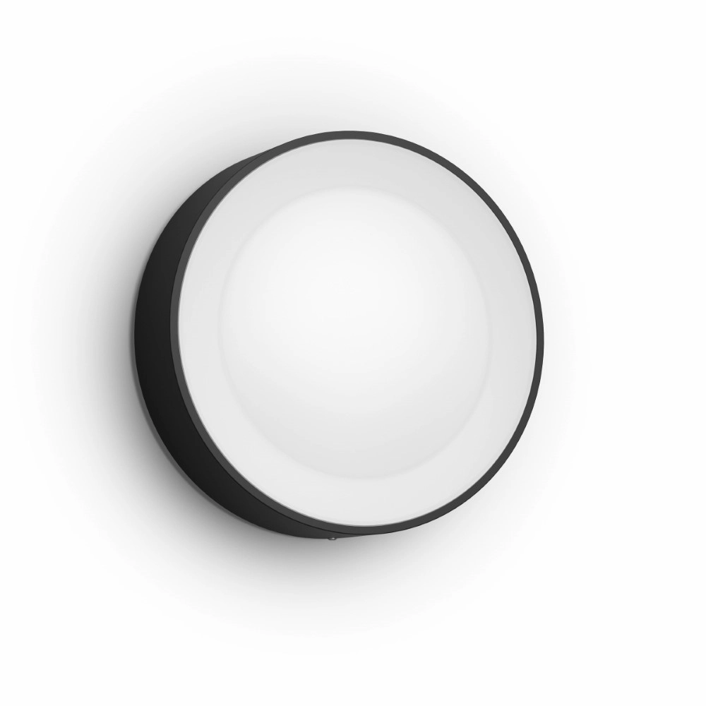 Ronde buitenlamp Hue Daylo zwart Philips 8718696174401