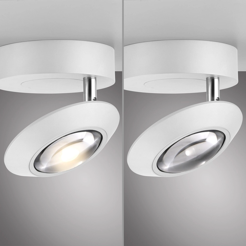 Led plafondspot Pure Oculis wit Paul Neuhaus 4012248397046