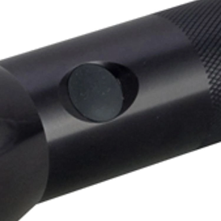 2C-cell Mag Led ML100 Zwart Maglite 38739800233