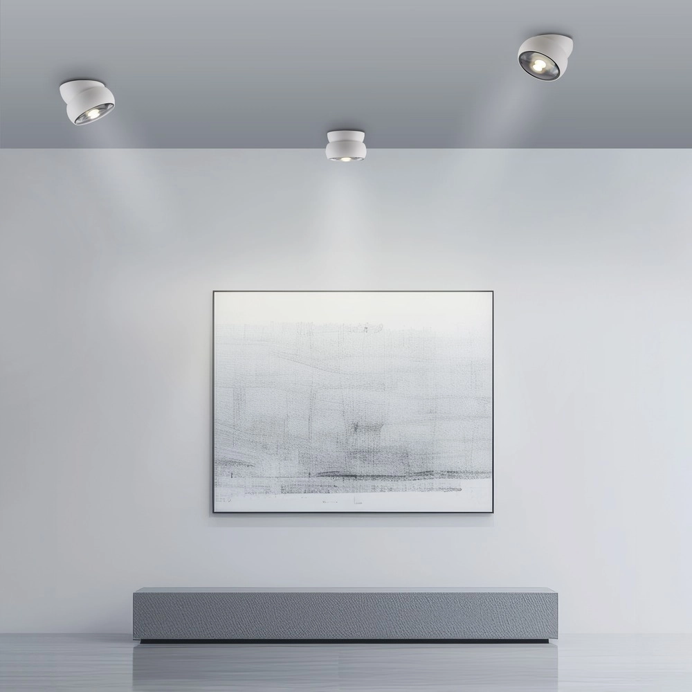 Witte opbouwspot Pure Move Ø 11cm - Led Paul Neuhaus 4012248395738