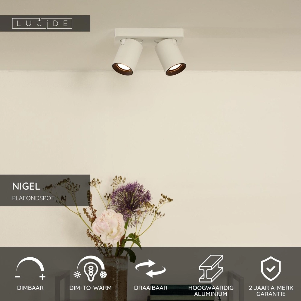 Plafondspot Nigel 2-lichts wit Lucide 5411212092564