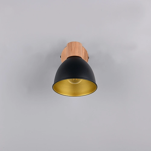 Plafondlamp Delume enkel zwart Trio 4017807672237