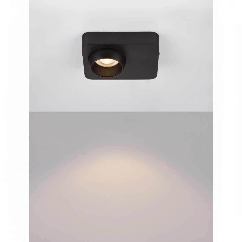 Plafondlamp Kedros zwart