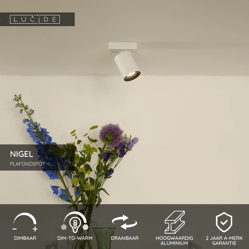 Plafondspot Nigel wit Lucide 5411212092540