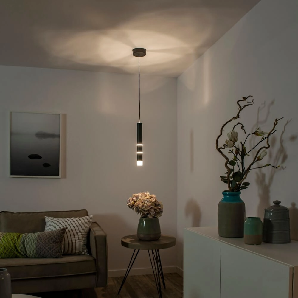 Zwarte hanglamp Pure Vega 3000K Paul Neuhaus 4012248357514