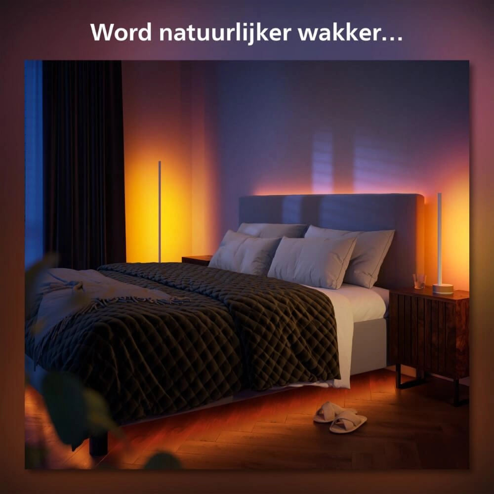 Slimme vloerlamp Hue Signe - White and color Philips 8719514433526