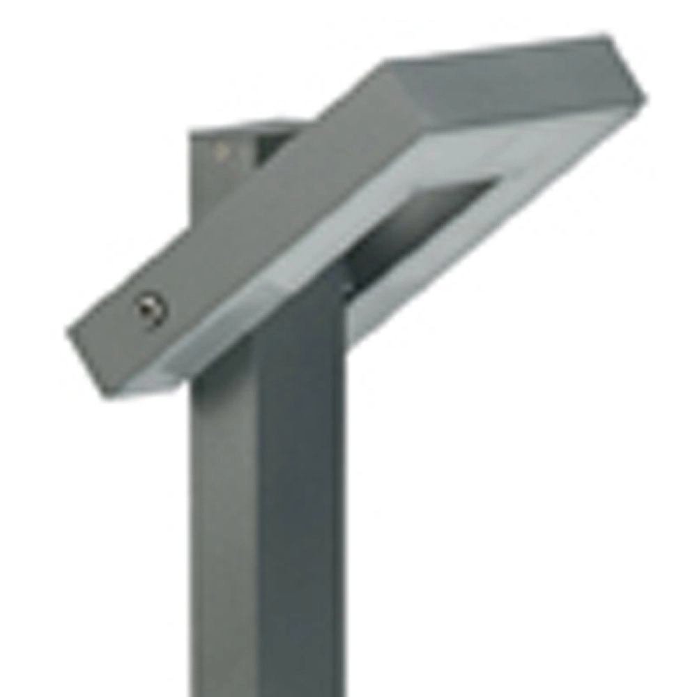 Verstelbare padverlichting Strunc antraciet Albert 4007235220919