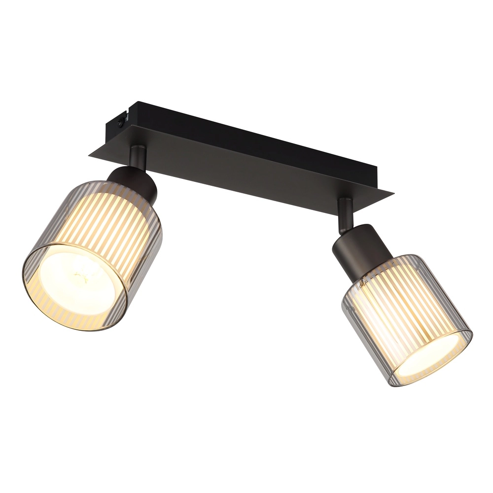 Design plafondlamp Villegas 2-lichts gunmetal