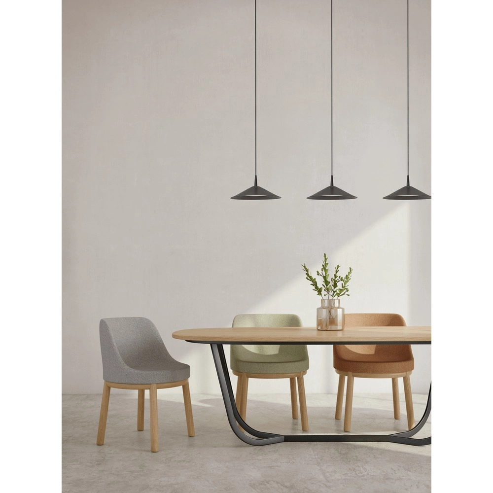 3-lichts hanglamp Ceppo zwart Ø 22cm Masterlight 8718121358468