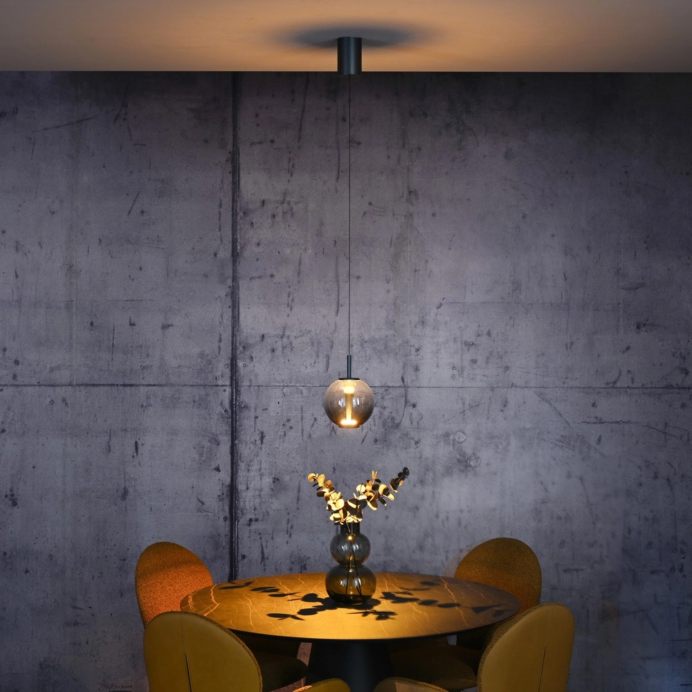 Led hanglamp Pure Infinity met smoke glas - Ø 18cm Paul Neuhaus 4012248399033
