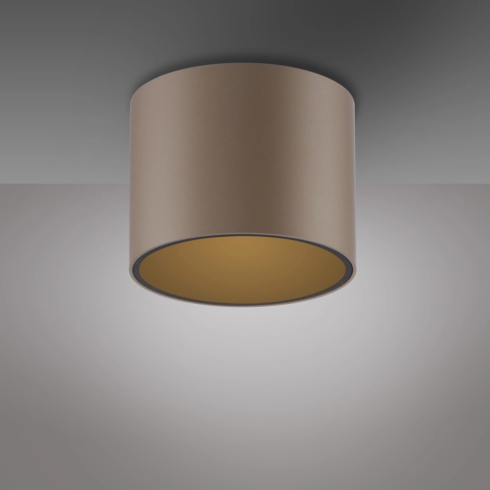 Plafond opbouwspot Pure Point Ø 11cm - bronce Paul Neuhaus 4012248395653