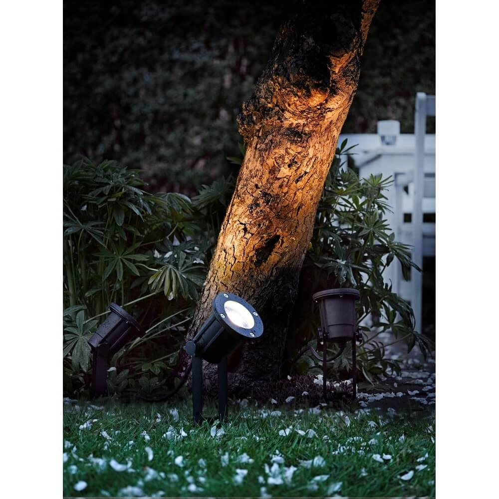 Prikspot Spotlight zwart Nordlux 5701581326781