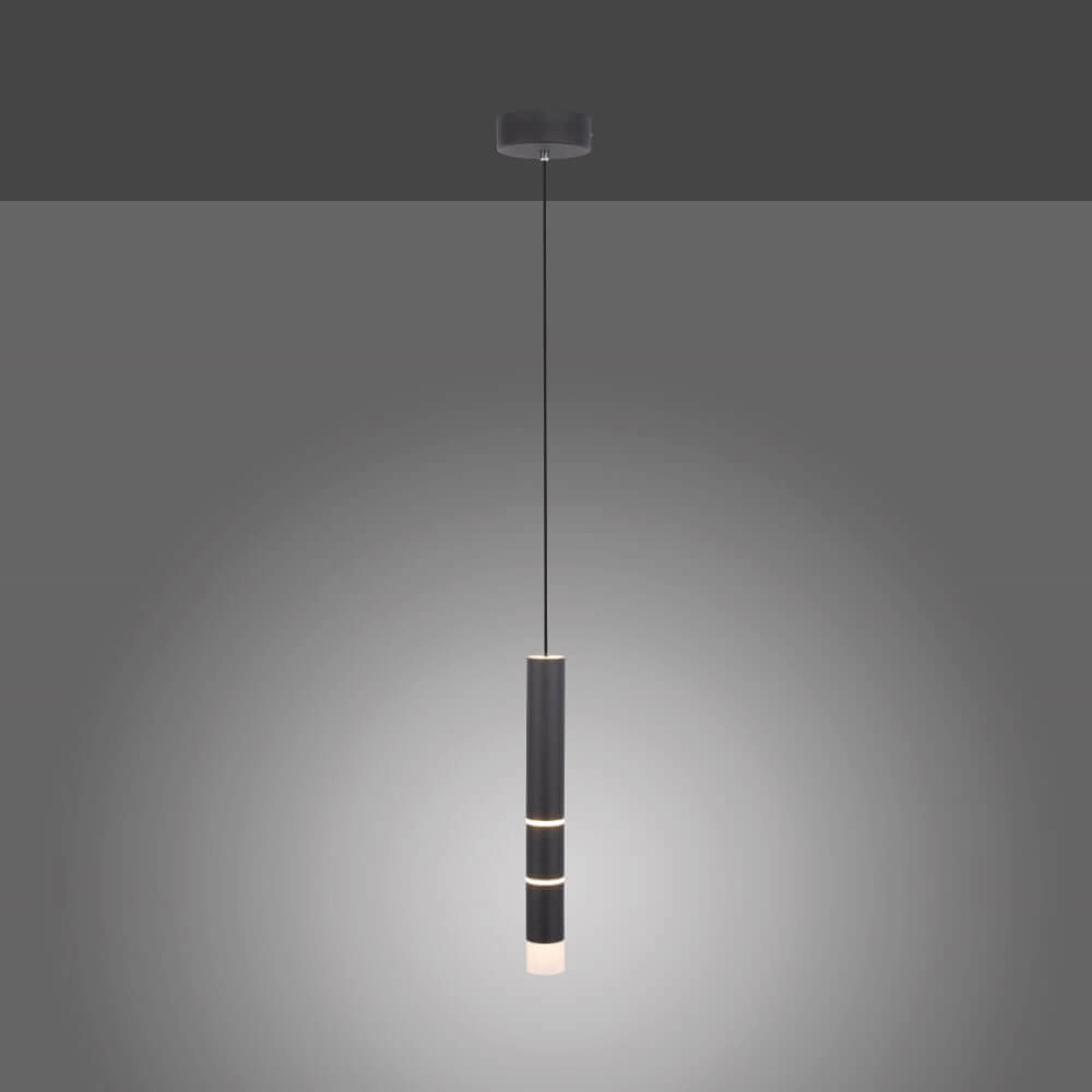 Zwarte hanglamp Pure Vega 3000K Paul Neuhaus 4012248357514
