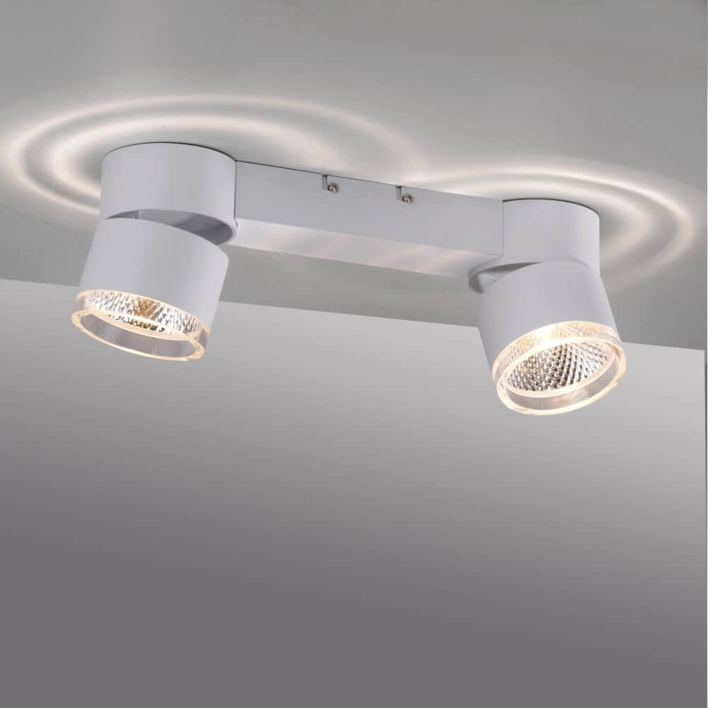 Witte plafondlamp Pure Nola 2-lichts Paul Neuhaus 4012248374542