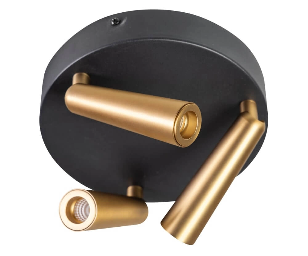 Design plafondlamp Barry 3-lichts