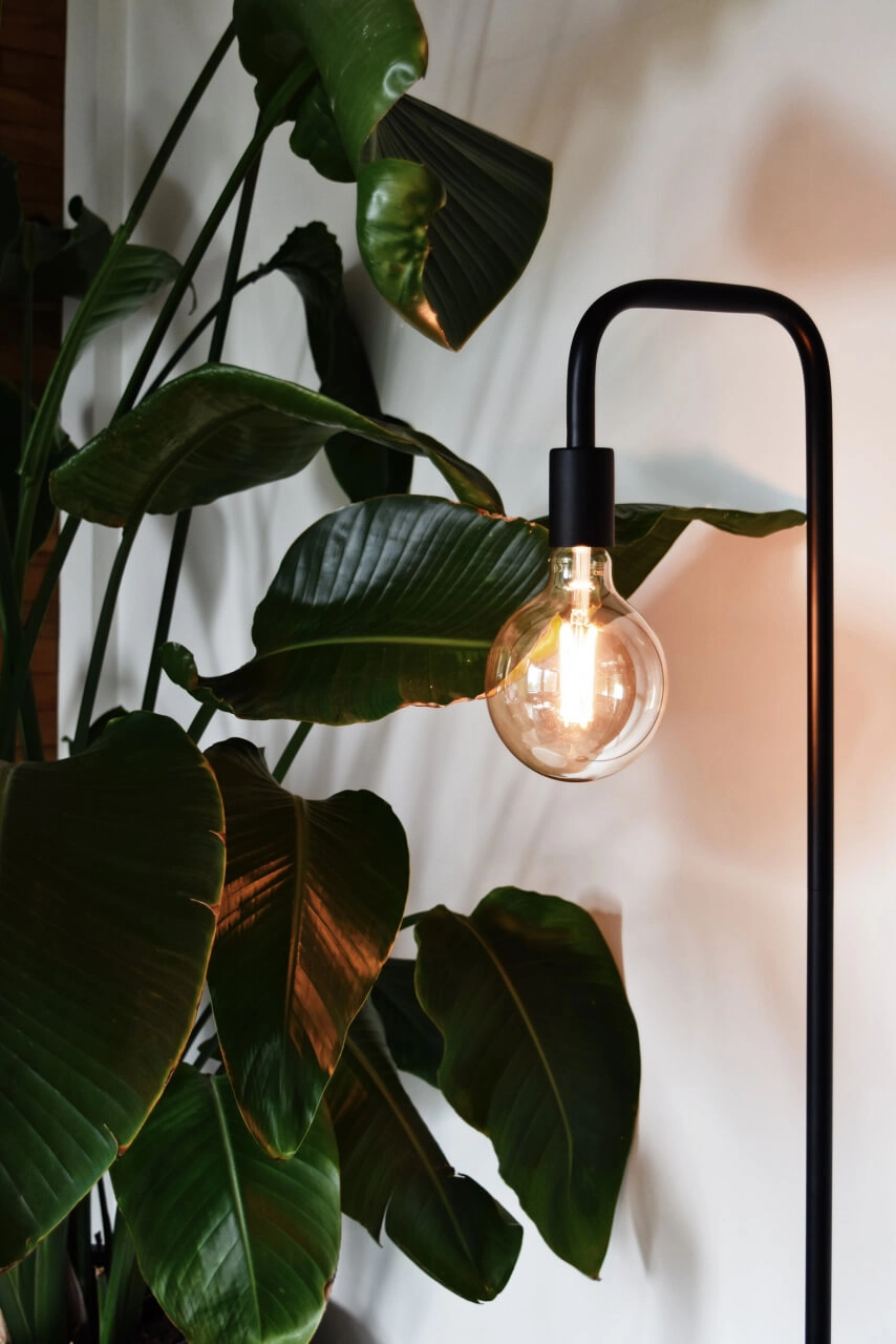 Zwarte vloerlamp Calexa Circle 8712879147398