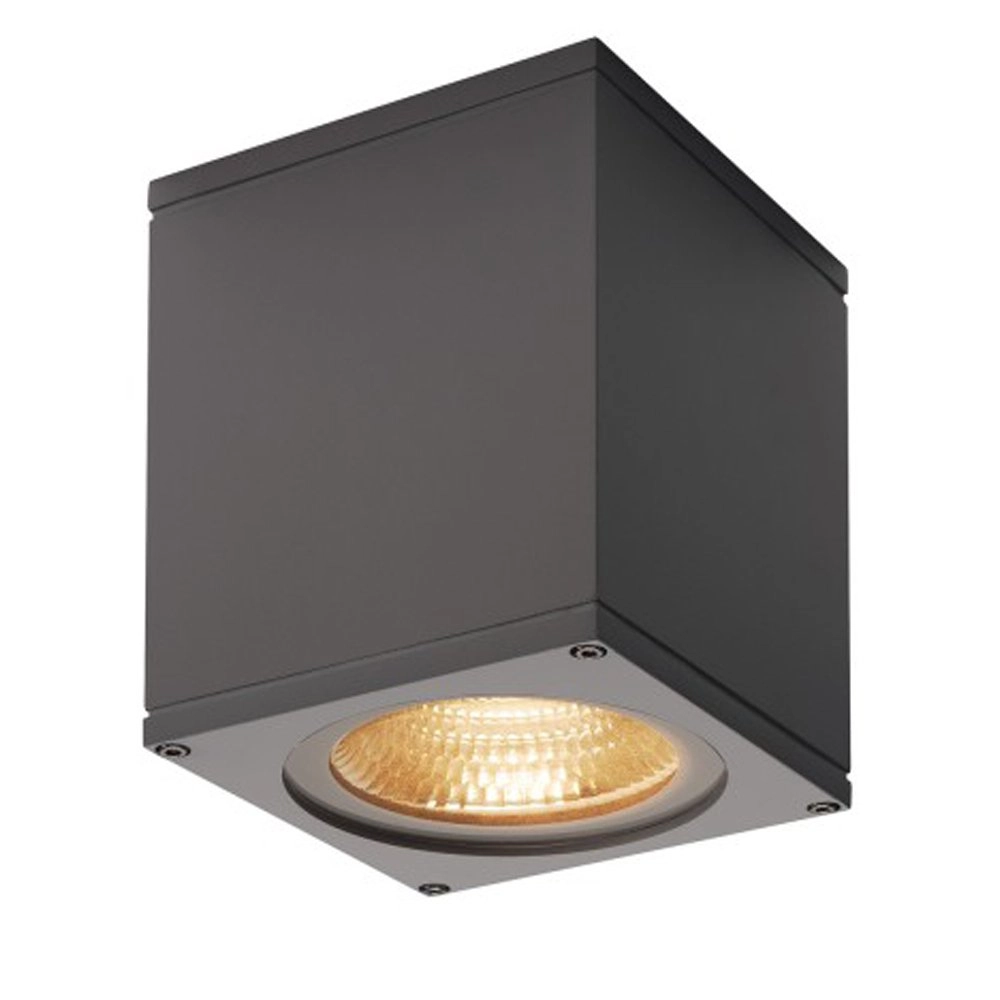 Led spot Big Theo voor buiten