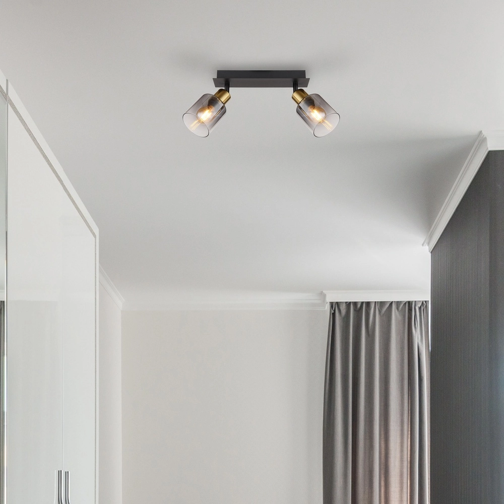 2-lichts plafondlamp Hollsy zwart met smoke glas Globo 9007371445851
