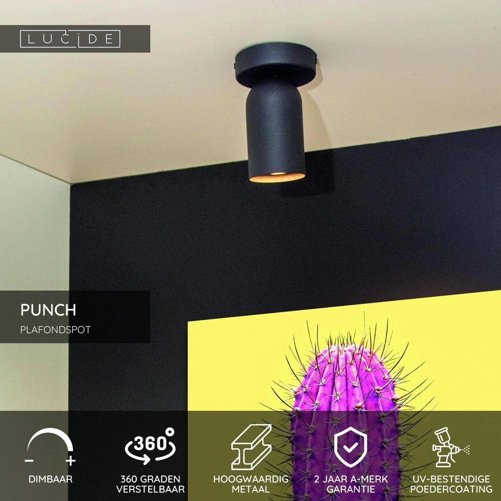 Plafondspot Punch enkel zwart Lucide 5411212134318