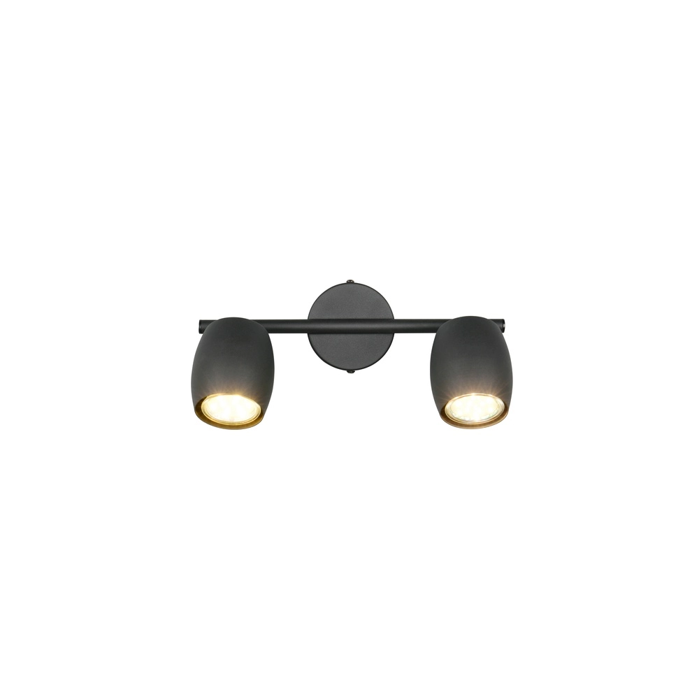 Plafondlamp Nancy 2-lichts zwart Trio 4017807656602