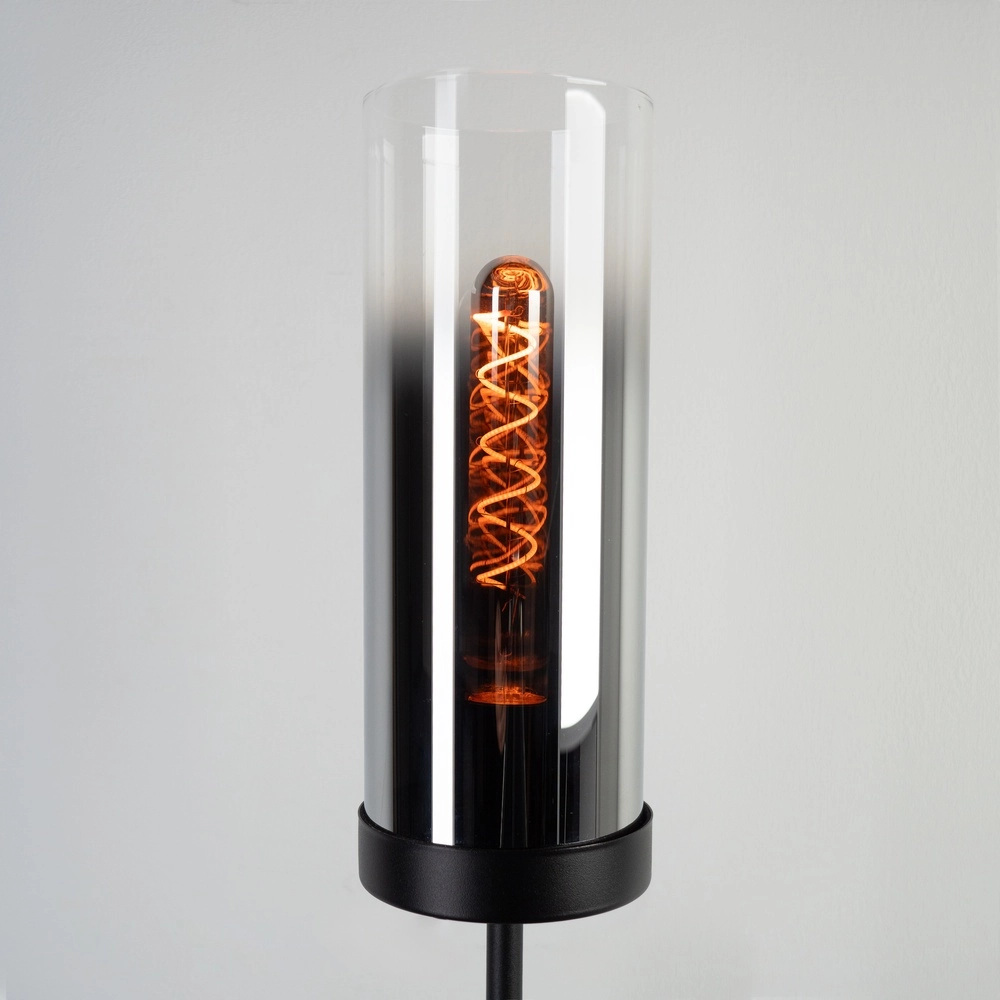 Zwarte vloerlamp Toothill met smoke glas Eglo 9002759440046