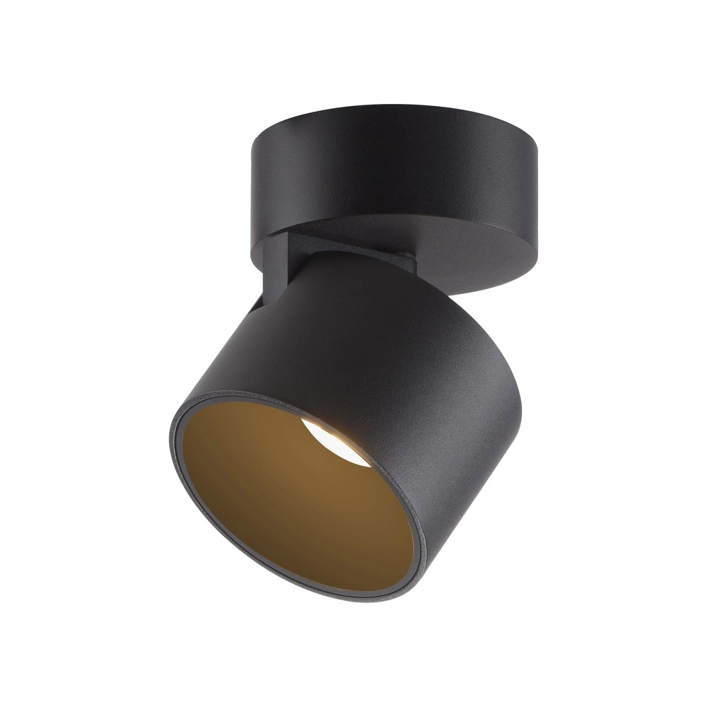 Strakke opbouwspot Pure Cup black pearl Paul Neuhaus 4012248395585