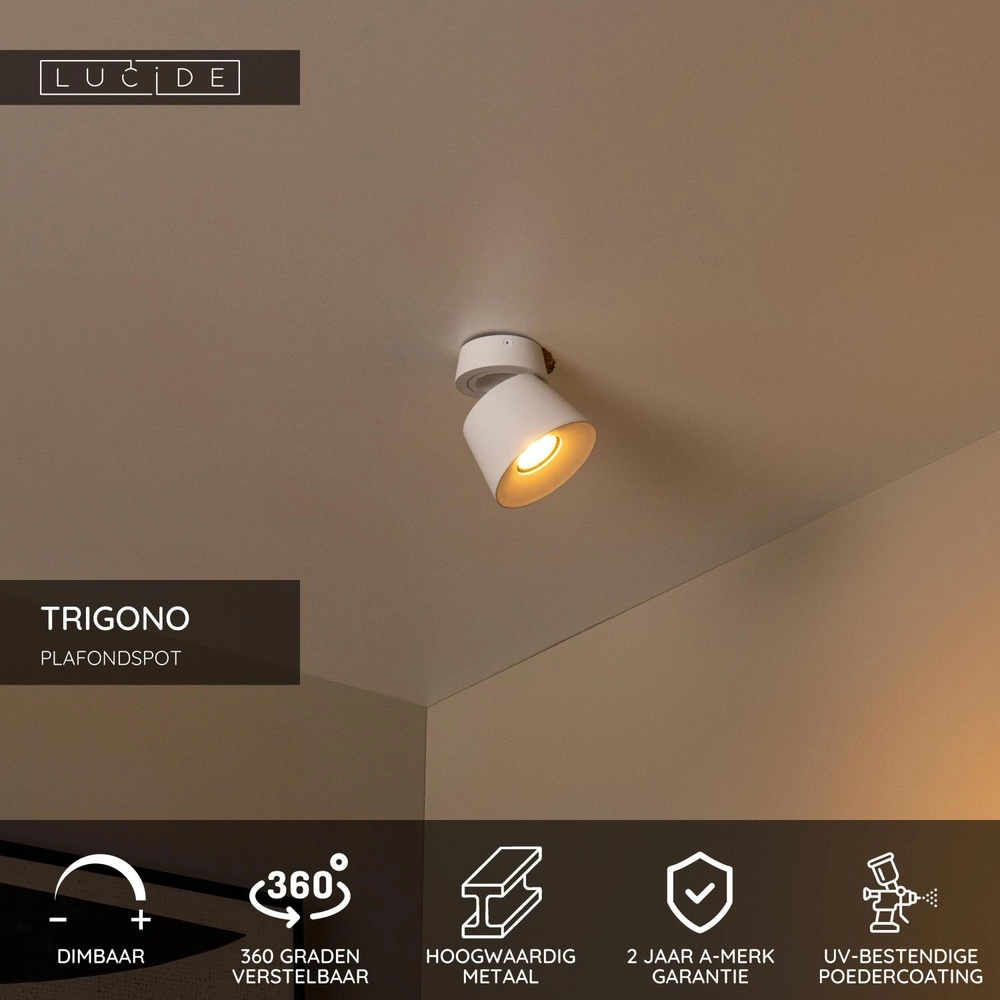 Plafondspot Trigono enkel wit Lucide 5411212093127