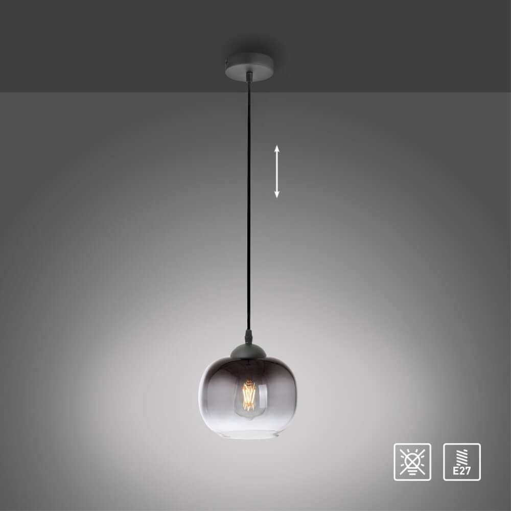 Zwarte hanglamp Zea enkel Just Light 4043689993740
