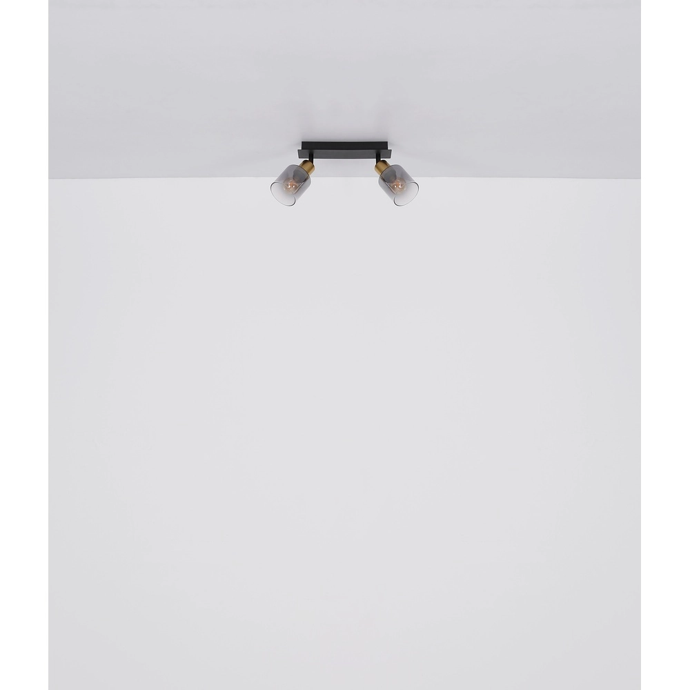 2-lichts plafondlamp Hollsy zwart met smoke glas Globo 9007371445851