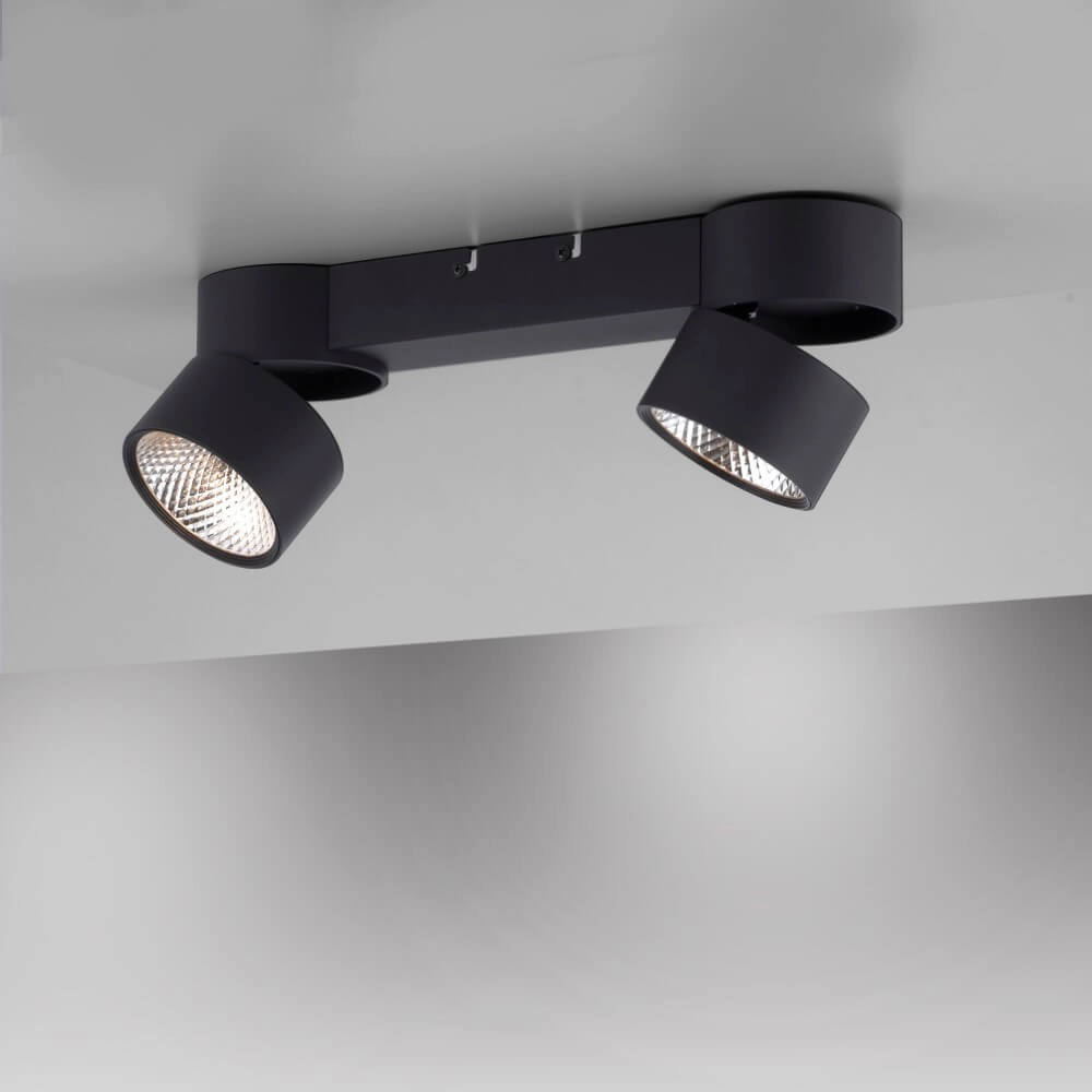Plafondlamp Pure Nola 2-lichts zwart Paul Neuhaus 4012248372005