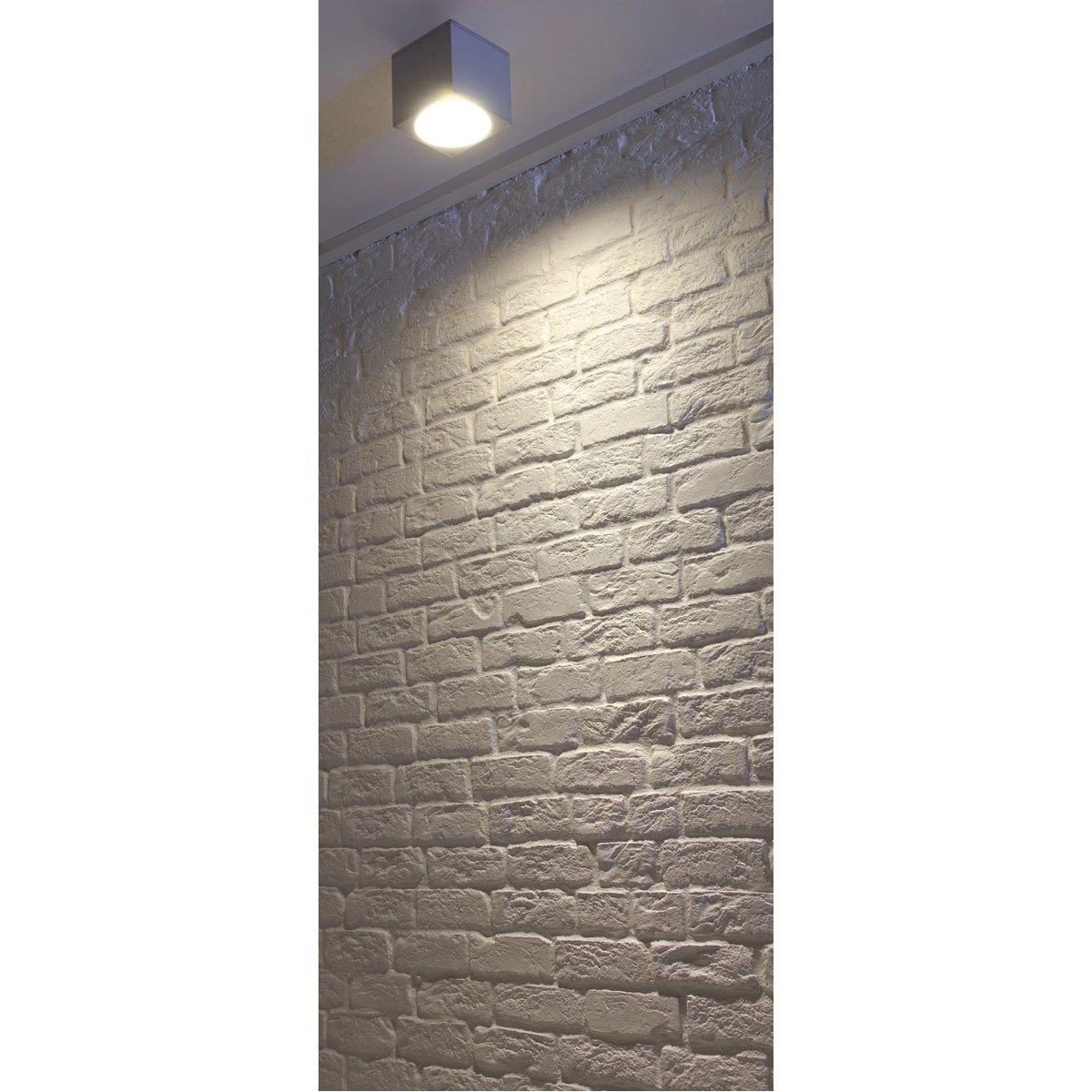Veranda spot Big Theo Ceiling Out GU10 15cm zilvergrijs SLV 4024163112567