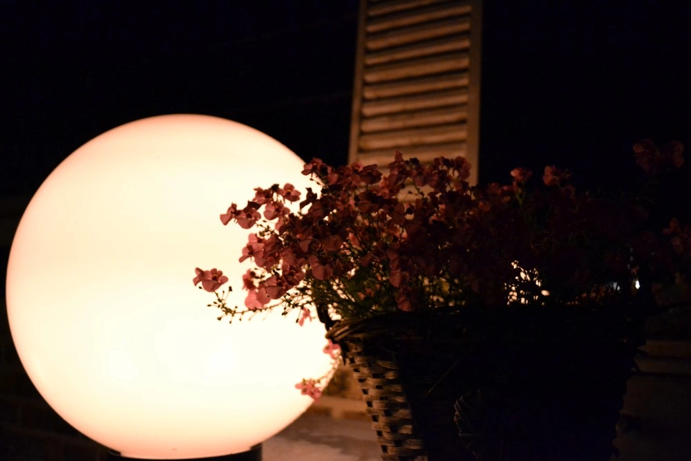 Bollamp Bolano 30cm. Lyora 8716803507296