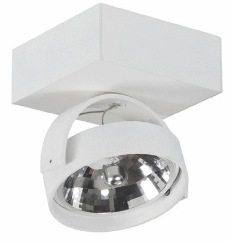 Enkele spotlamp Dutchess